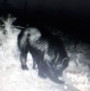 Meet your Posher, Tom